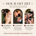 Fotoprojektion im Anhänger sichtbar