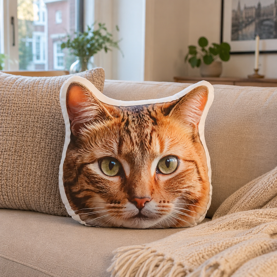KuschelPortrait Beschreibung
